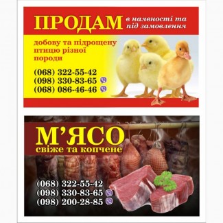 Продам підрощеного бройлера