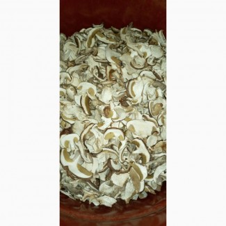 Продам білий сухий гриб оптом