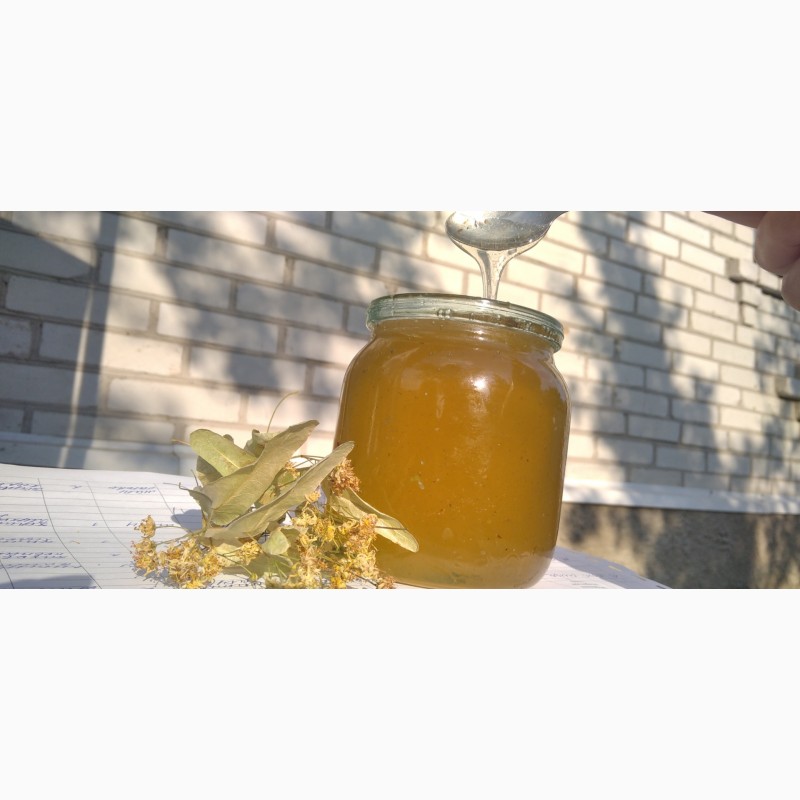 Фото 6. Продам мед/мёд з власної пасіки 2023 року акацієвий, липовий