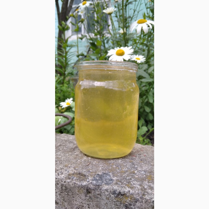 Фото 3. Продам мед/мёд з власної пасіки 2023 року акацієвий, липовий