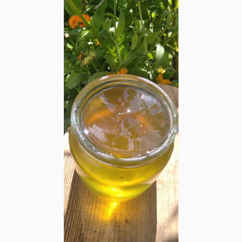 Фото 4. Продам мед/мёд з власної пасіки 2023 року акацієвий, липовий