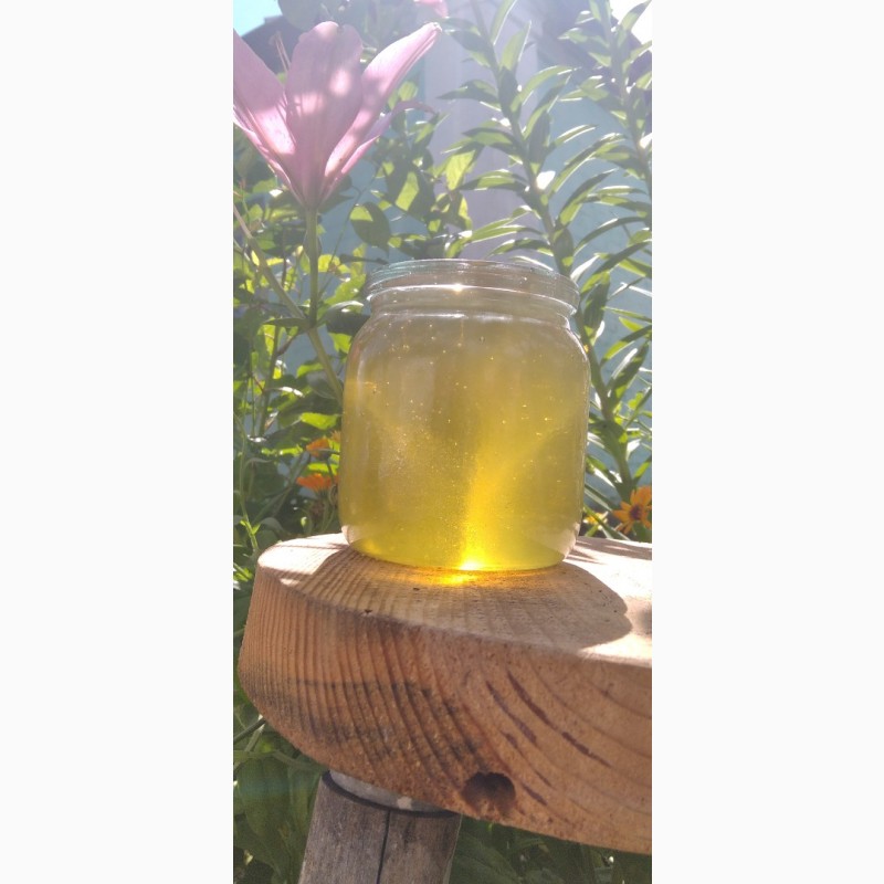Фото 5. Продам мед/мёд з власної пасіки 2023 року акацієвий, липовий