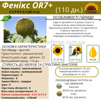 Гібрид соняшника стійкий до посухи - ФЕНІКС OR7+, НОВИНКА на ринку україни