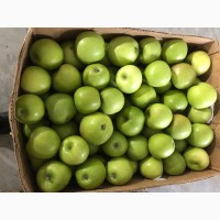 Продам яблоки разных сортов, холодильное хранение и квашені помідори