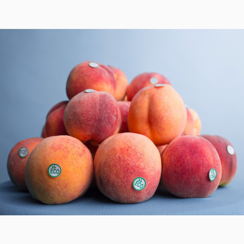 2 4 всех фруктов составляют персики. Персики купить в СПБ.