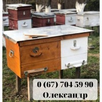 Продам бджолопакети укр. степова, 4р.р. 80 шт