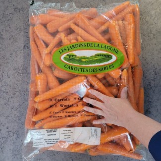 Продам Мытую морковку Франция