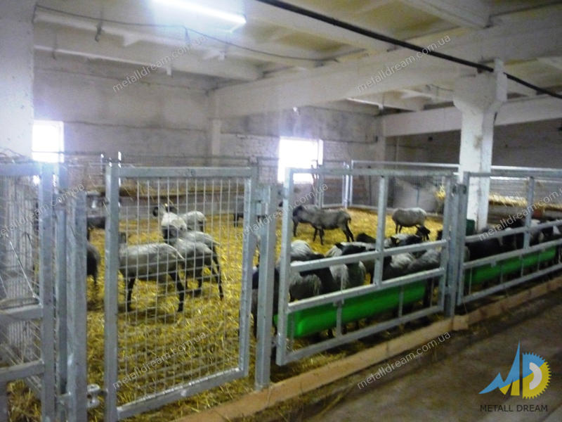 Фото 2. Стійлове обладнання для утримання кіз та овець