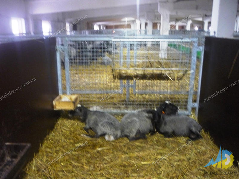 Фото 4. Стійлове обладнання для утримання кіз та овець