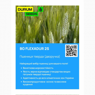Насіння пшениці - BG Flexadur 2S (тверда дворучка) Оригінатор Biogranum, Сербія