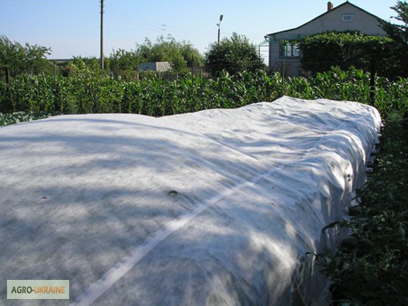 Фото 2. Польское агроволокно Plant-Protex 50 г./м2 белое со склада (с НДС)
