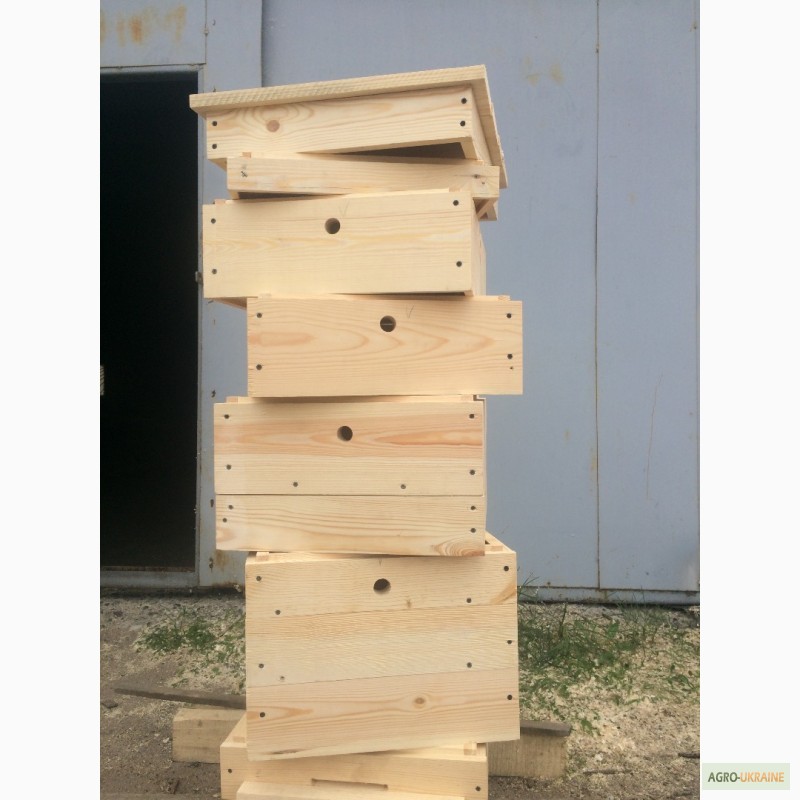 Фото 6. Продам пчелиную рамку дадан Липа