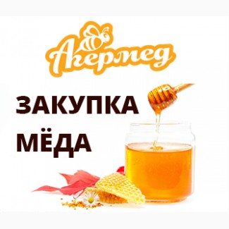 Закупка мёда по Украине