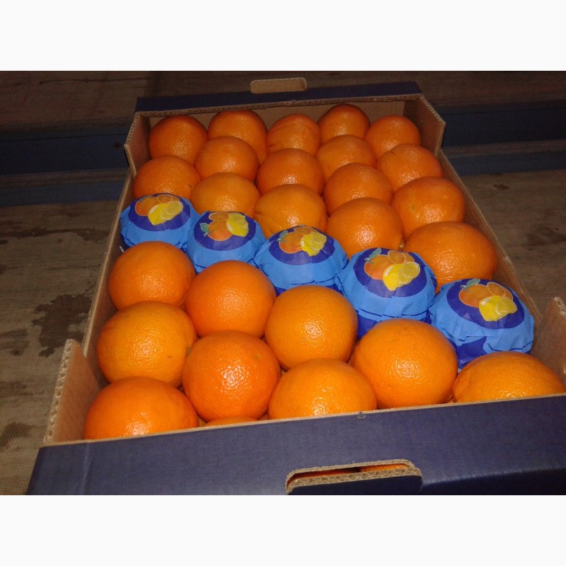Фото 2. Продаем Апельсины из Греции
