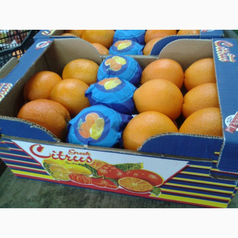 Фото 4. Продаем Апельсины из Греции