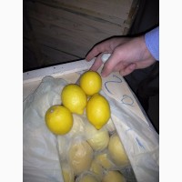 Продам лимон
