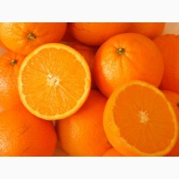 Продам апельсины из Испании оптом