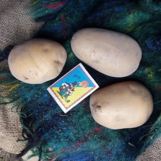 Продам картофель (Домашний).Хороший урожай 2021. Сорт Ривьера