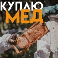 Куплю мед від 300 кг Кіровоградська область