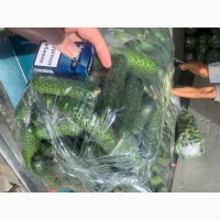 Продам огірок