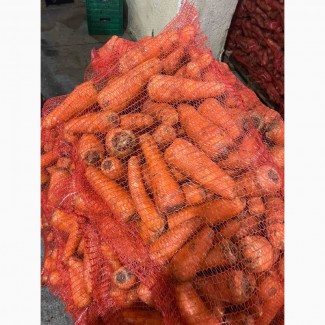 Продам моркву 2 сорту, підходить на переробку