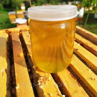Продам мед оптом (1-1.5 тонни)