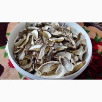 Сушені білі гриби з Карпат