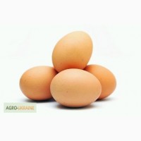 Продам домашні курячі яйця 1, 20 шт