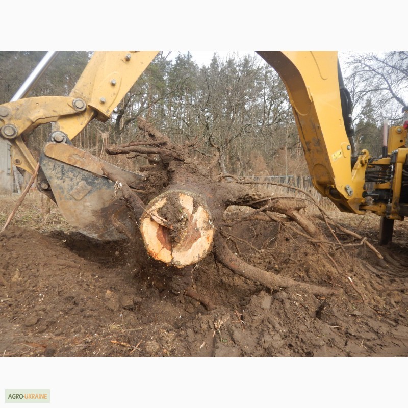 Фото 9. Удаление деревьев киев, спил, валка, обрезка, корчевание пней