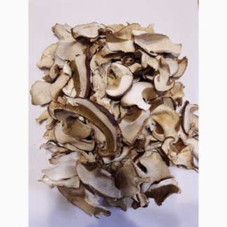 Продам білі гриби, зібрані в екологічно чистих місцях