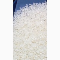 Продаем Рис урожай 2017 года