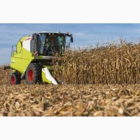 Зернозбиральні комбайни CLAAS AVERO 240/160