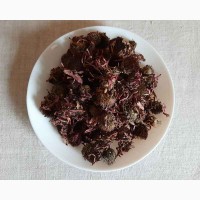 Эхинацея пурпурная (цветы) 50 грамм