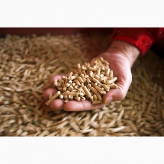 Підприємство реалізовує висівки пшеничні гранульовані