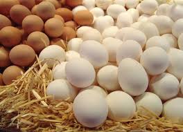 Инкубационные яйца бройлеров пробиотики, ферментационная подстилка