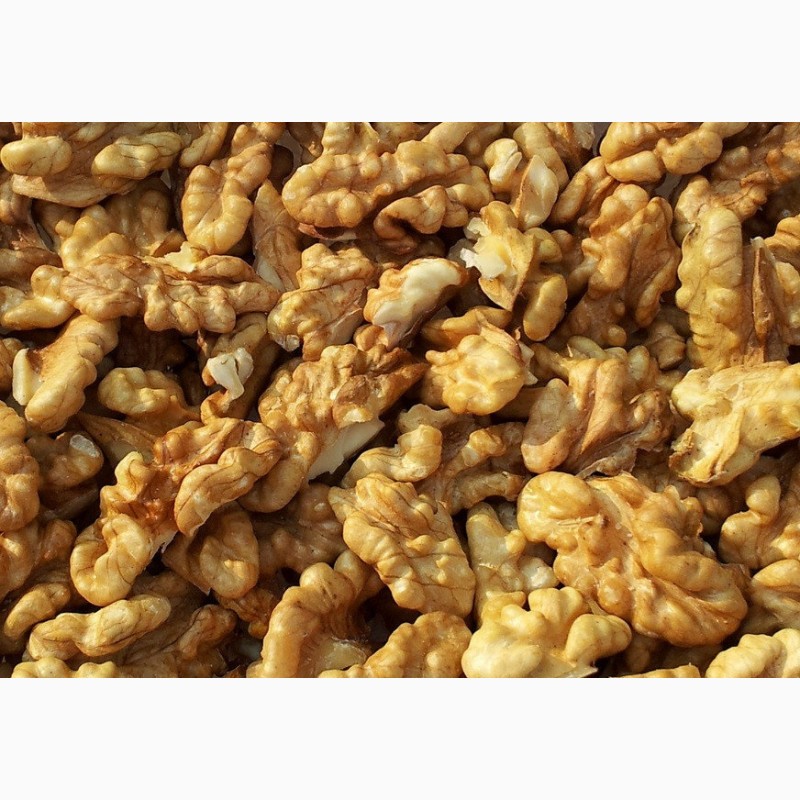 Фото 4. Очищенный грецкий орех, Грецький Горіх, Волоський горіх ядро ореха