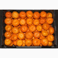 Продам мандарины Турция урожай 2019 года