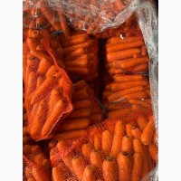 Продам морковь мытую 1 сорт