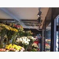 Камери охолодження квіткового бутіка агрегати повітроохолоджувачі