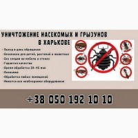 Уничтожение грызунов и насекомых в Харькове