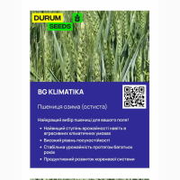 Насіння пшениці - BG Klimatika (пшениця м#039;яка озима) Оригінатор Biogranum, Сербія