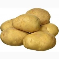 Закуповуємо молоду картоплю по всій Україні оптом від 20 тон