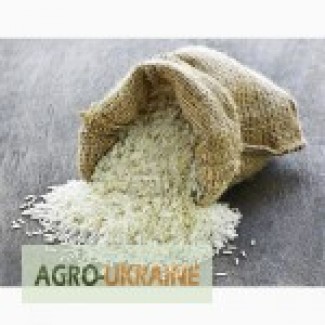 Продам рис длинный белый 5 %, Пакистан, Вьетнам
