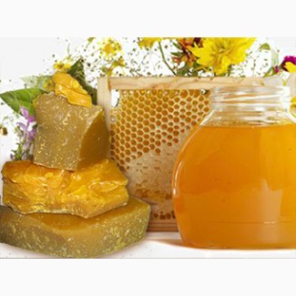 Компания ГОЛД ХАНИ покупает пчелиный мёд