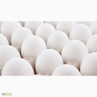 Вкусные и свежие яйца категории С-1 и С-0