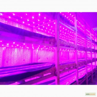 Продам LED освещение для растений
