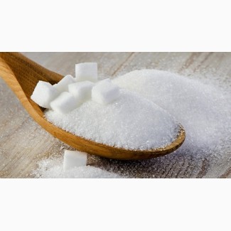 Сахар с завода на экспорт