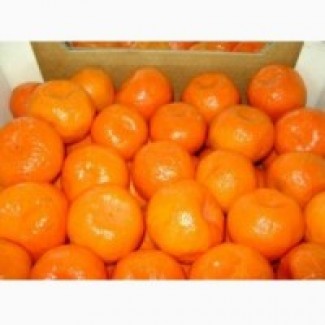 Продам мандарины Грузии, Турции и цитрусовые в ассортименте: апельсины, бананы, лимоны