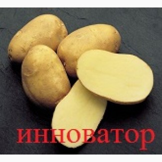 Продам семенной картофель разных сортов