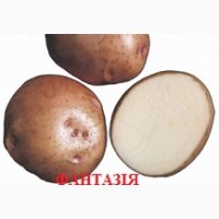 Продам семенной картофель разных сортов